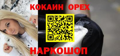 тгк Кингисепп