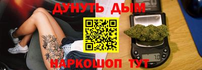 тгк Кингисепп