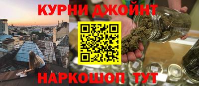 тгк Кингисепп