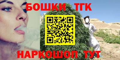 тгк Кингисепп