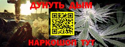 тгк Кингисепп