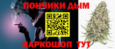 тгк Кингисепп