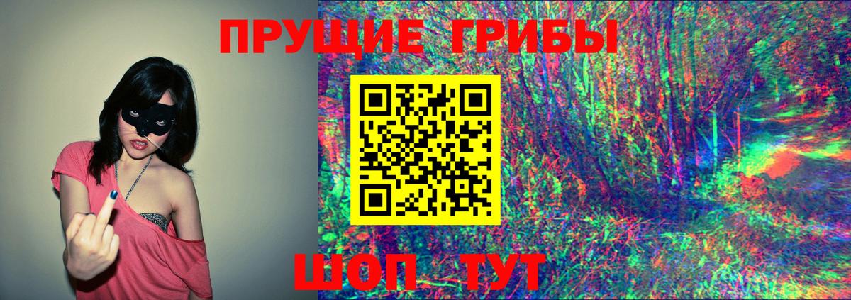 Псилоцибиновые грибы мицелий Тихорецк