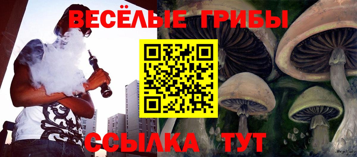 Псилоцибиновые грибы мицелий  Вход с VPN  Тихорецк 